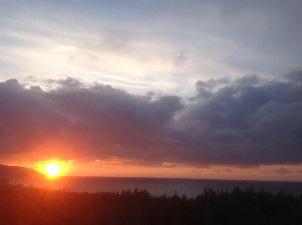 Burton'S Sunset Oasis Motel Bay Saint Lawrence Buitenkant foto