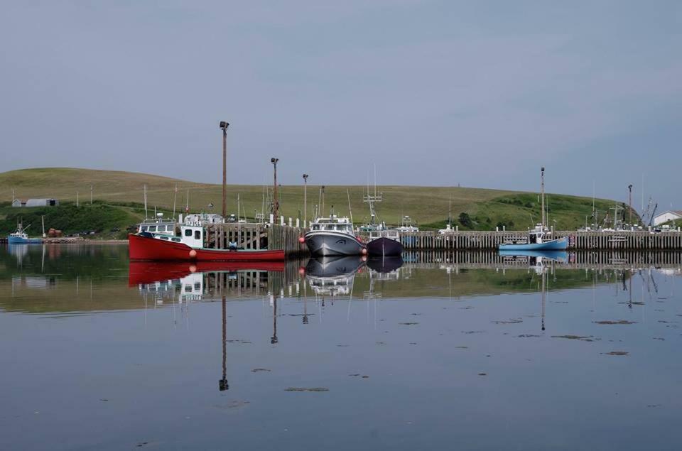 Burton'S Sunset Oasis Motel Bay Saint Lawrence Buitenkant foto