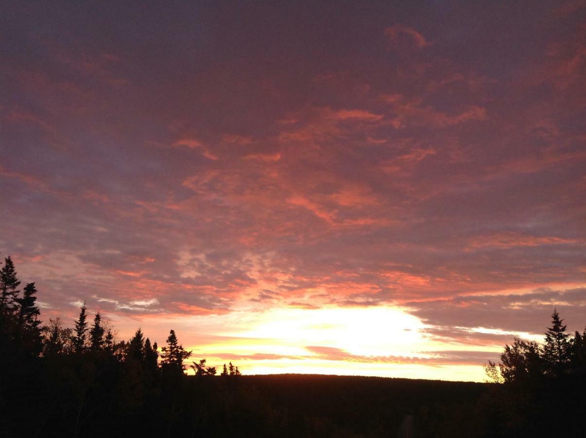 Burton'S Sunset Oasis Motel Bay Saint Lawrence Buitenkant foto