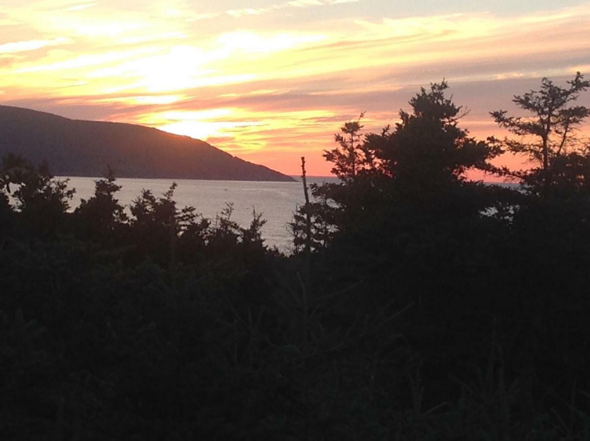 Burton'S Sunset Oasis Motel Bay Saint Lawrence Buitenkant foto